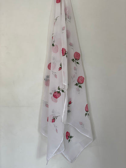 Hand painted dupatta