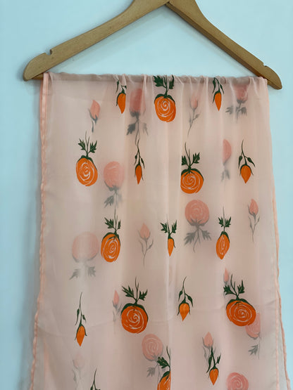 Hand painted dupatta